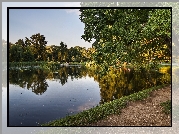 Park, Jezioro, Drzewo, Dróżka