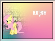 My Little Pony Przyjaźń To Magia, Fluttershy