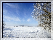 Niebo, Drzewo, Śnieg, Zima