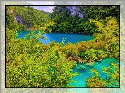 Jezioro, Park, Plitvice