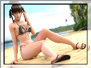 Dead Or Alive 5, Lei Fang