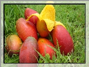 Stosik, Owoców, Mango