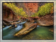 Stany Zjednoczone, Stan Utah, Park Narodowy Zion, Rzeka Virgin River, Skały, Drzewa, Kanion