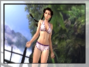 Dead Or Alive 5, Pai
