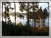 Las, Jezioro, Poranek, Mgła