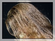 Blondynka, Portret, Profil