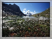 Łąka, Jeziorko, Góry, Matterhorn, Szwajcaria