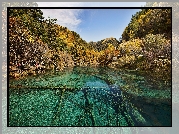 Chiny, Park Narodowy Jiuzhaigou, Jezioro, Lasy