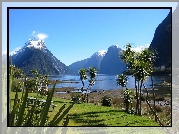 Jezioro, Góry, Roślinność, Milford Sound, Nowa Zelandia