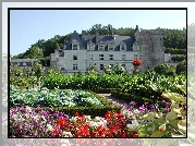 Zamek w Villandry, Château de Villandry, Francja, Villandry, Ogród