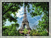 Paryż, Wieża, Eiffla, Drzewa