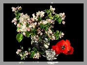 Kwiaty, Kwitnącego, Drzewa, Bukiet, Tulipan