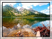 Jezioro, Lasy, Góry, Odbicie