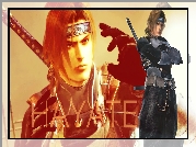 Dead Or Alive 5, Hayate