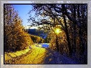 Droga, Drzewa, Słońce, Śnieg
