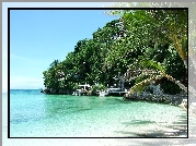 Morze, Drzewa, Tropikalne, Hotel, Na, Skale, Filipiny