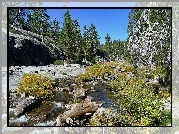 Stany Zjednoczone, Stan Kalifornia, Park Narodowy Yosemite, Kamienie, Rzeka, Las