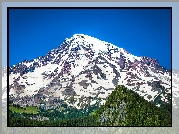 Wulkan, Mount Rainier, Góra, Lasy