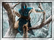 Mortal Kombat, Sub-Zero
