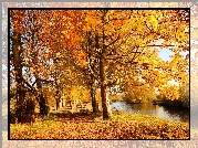 Jesień, Rzeczka, Drzewa, Liście