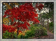 Park, Ławka, Jesień