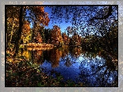 Jesień, Park, Staw, Drzewa, Kaczki, Ptaki