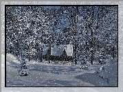 Domek, Zima, Las, Śnieg