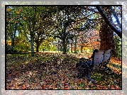 Park, Ławka, Jesień