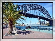 Sydney, Australia, Most, Bulwar, Palma