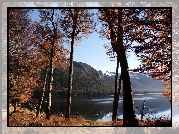 Jezioro, Góry, Lasy, Jesień