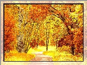 Park, Alejka, Kolorowe, Drzewa, Jesień