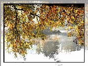 Jezioro, Liście