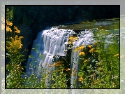 Wodospad, Skały, Kwiaty, Trawy