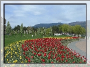 Park, Klomb, Tulipany, Góry