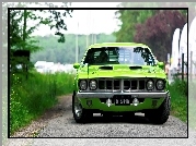 Plymouth, Barracuda