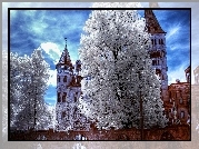 Zamek w Branie, Castelul Bran, Miejscowość Bran, Siedmiogród, Rumunia