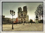 Paryż, Francja, Katedra, Notre, Dame, Choinka