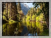 Stany Zjednoczone, Stan Kalifornia, Park Narodowy Yosemite, Góry, Rzeka, Las
