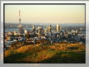 Auckland, Nowa Zelandia, Panorama