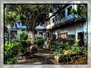 Dom, Ogród, Kwiaty, Drzewa, HDR