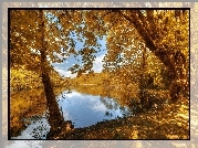 Park, Jeziorko,  Jesień