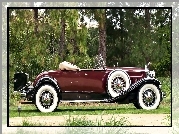 Samochód, Zabytkowy, Packard, Deluxe, 1931