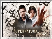 Supernatural, Nie z tego świata, Jensen Ackles, Jared Padalecki