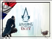 Assassins Creed, Unity