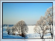 Zima, Las, Grafika, Komputerowa, Fractalius