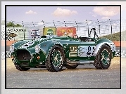 Zielone, Auto, Cobra, 427, Shelby