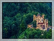 Zamek, Hohenschwangau, Góry, Las, Niemcy