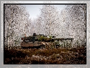 Czołg, Leopard 2a5, Trawa, Brzozy