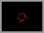 Czerwone, Logo, Apple, Czarne, Tło