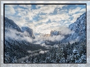 Stany Zjednoczone, Stan Kalifornia, Park Narodowy Yosemite, Góry, Drzewa